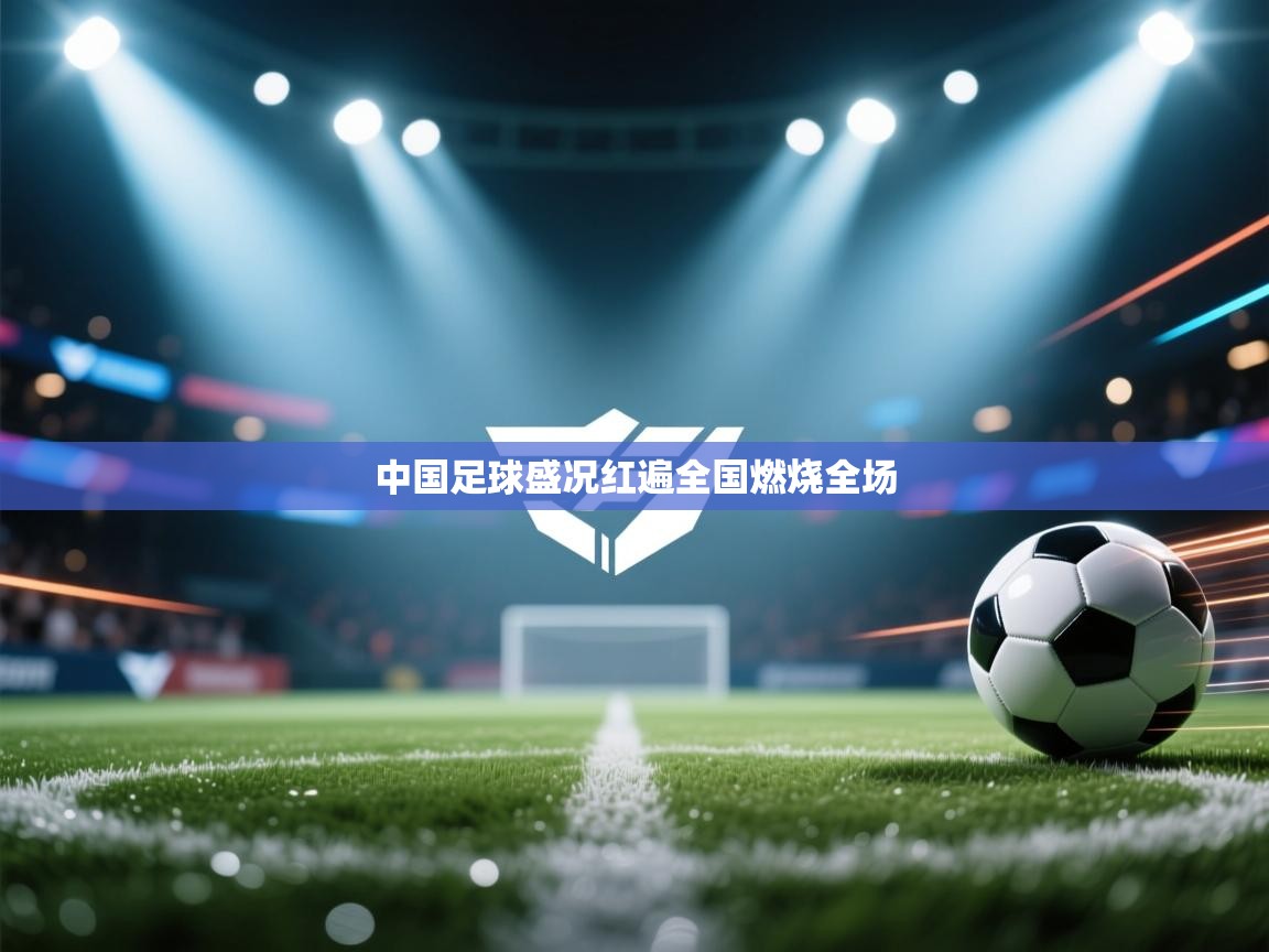 中国足球盛况红遍全国燃烧全场  第2张